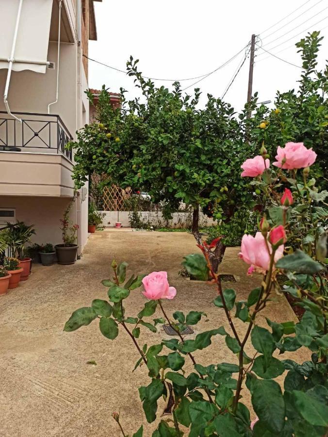 Apartamento Agathi'S House Mytikas  Exterior foto